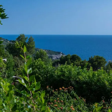Venkovský dům Il Carrubo Capri *