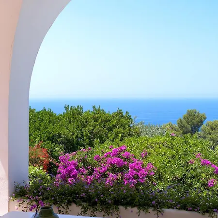 컨트리하우스 Il Carrubo Capri 아나카프리