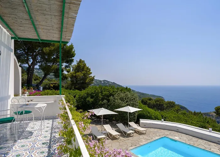 Il Carrubo Capri * Anacapri (Isola di Capri)