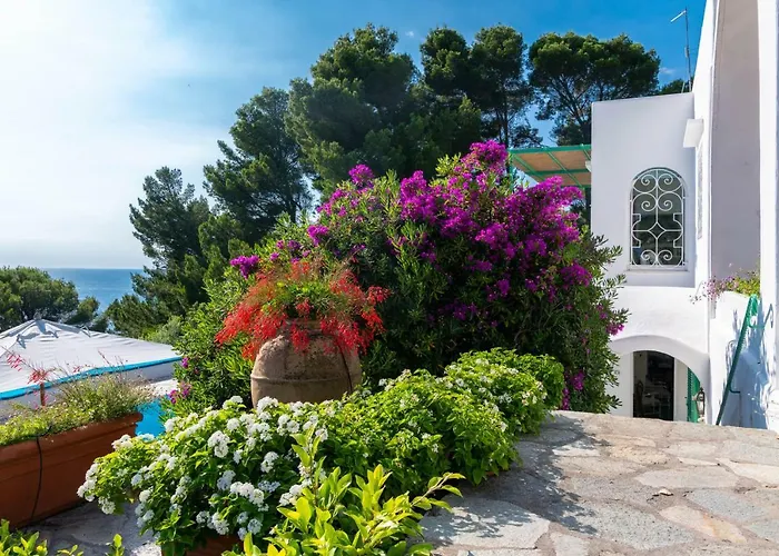 Il Carrubo Capri * Anacapri (Isola di Capri)