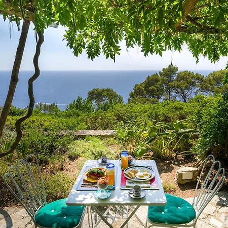 Il Carrubo Capri * Anacapri (Isola di Capri)