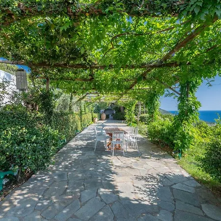 Il Carrubo Capri