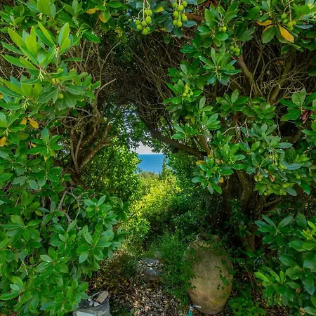 Il Carrubo Capri Country house *