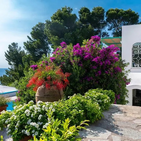 Il Carrubo Capri * Anacapri (Isola di Capri)