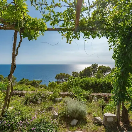 Il Carrubo Capri *